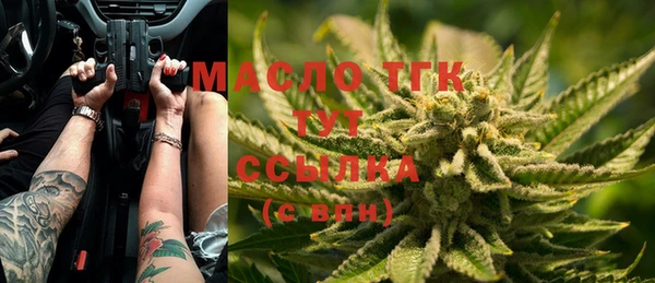 гидра Переславль-Залесский