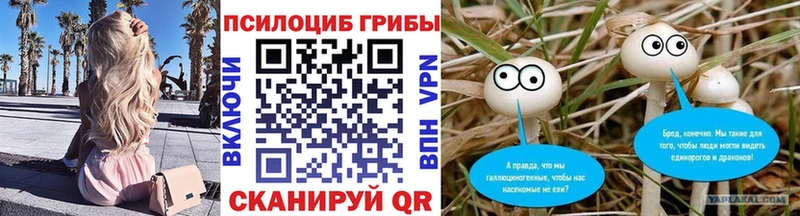 Галлюциногенные грибы мицелий  Наволоки 